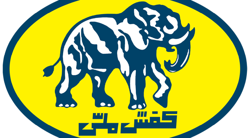 کفش ملی